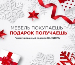 Предновогодняя акция