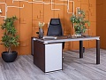 Стол для руководителя MARTEX 1 600х800х750 Шпон Венге HAN  (СРПЕк-25065)